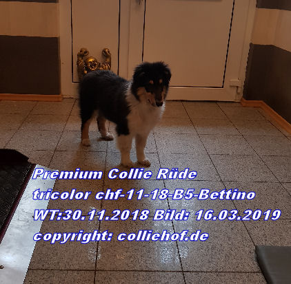 20190316_153737-bettino