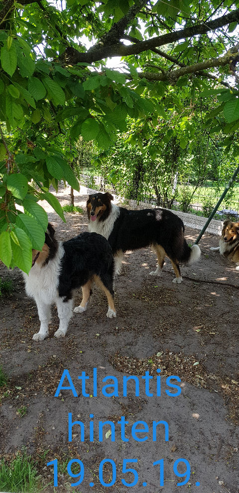 20190710_222931-Atlantis