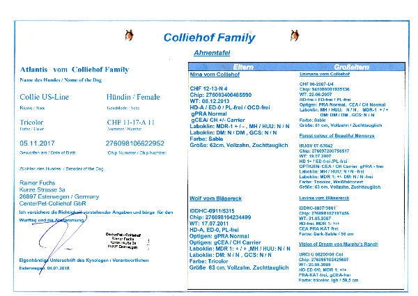 Ahnentafel-Atlantis-a Ahnentafel-Atlantis-a