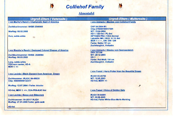 Ahnentafel-Atlantis-b Ahnentafel-Atlantis-b