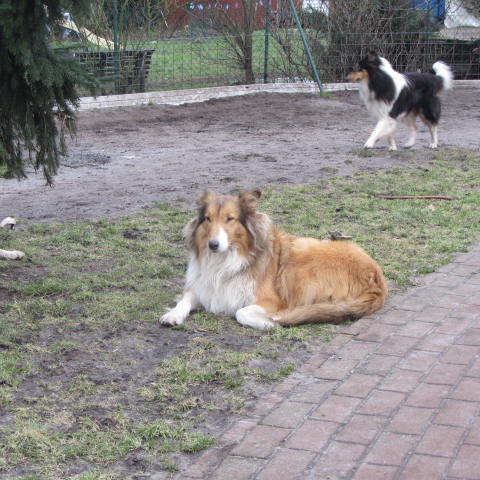 IMG_0956-unis IMG_0956-unis