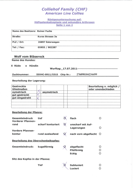 Wolf-HD-Untersuchung-Befund-Seite 1