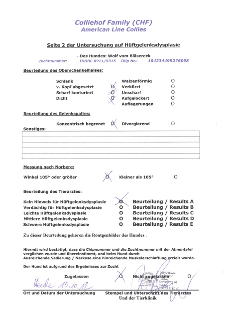 Wolf-HD-Untersuchung-Befund-Seite 2