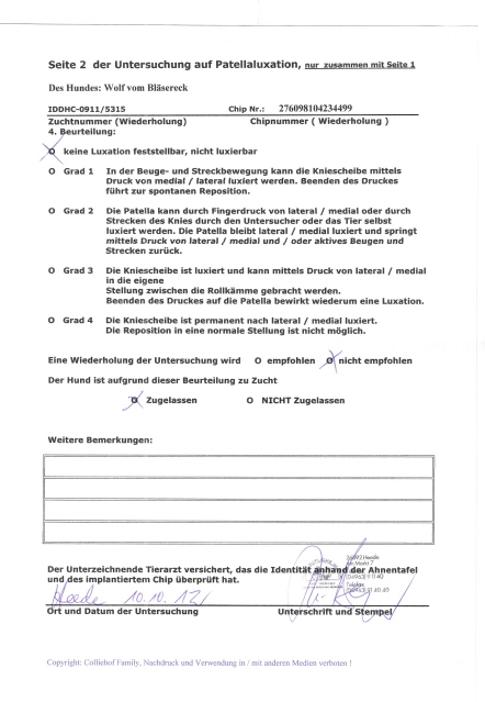 Wolf-PL-Untersuchung-Befund-Seite 2
