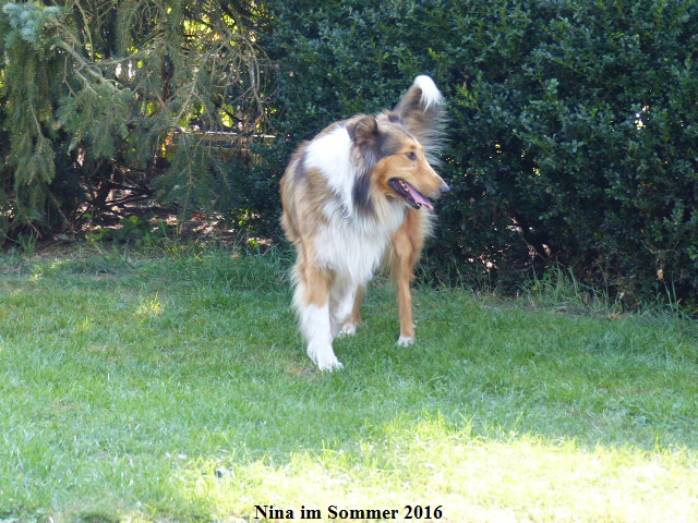 a_P1040109-nina a_P1040109-nina