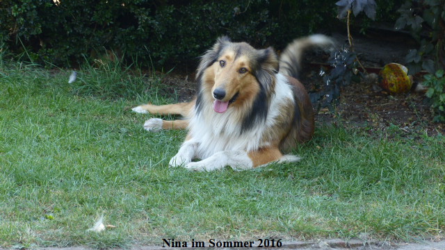 a_P1040137-NINA-2016 a_P1040137-NINA-2016