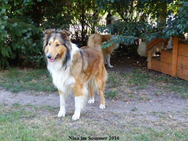 a_P1040160-NINA-2016