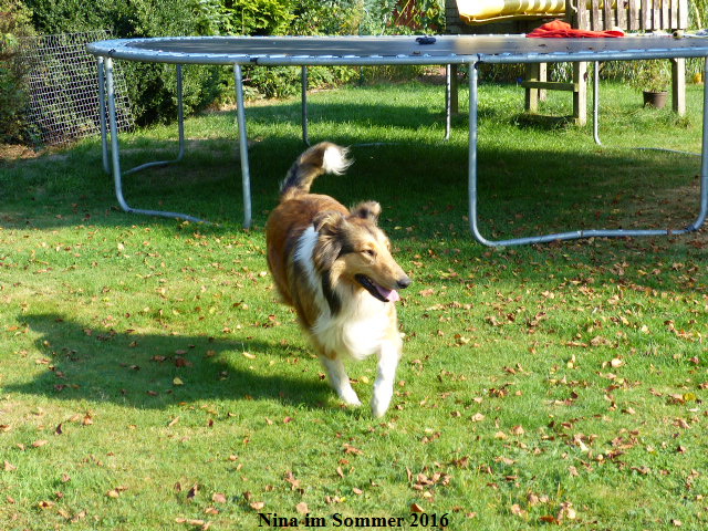 a_P1040177-NINA-2016 a_P1040177-NINA-2016