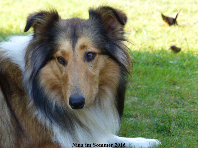 a_P1040233 a_P1040233