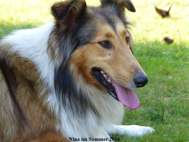 a_P1040234-NINA-2016