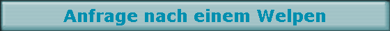 Anfrage nach einem Welpen
