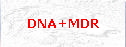 DNA+MDR