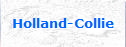 Holland-Collie