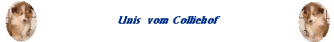Unis  vom Colliehof
