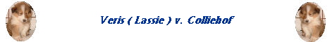 Veris ( Lassie ) v. Colliehof