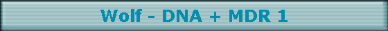 Wolf - DNA + MDR 1