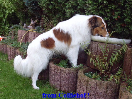 DSCI0007 - Kopie (2)