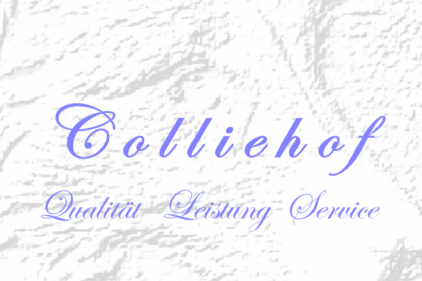 colliehof-qualit�t-leistung-service-esterwegen-emsland