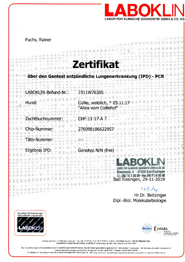 img003-Alina-IPD img003-Alina-IPD