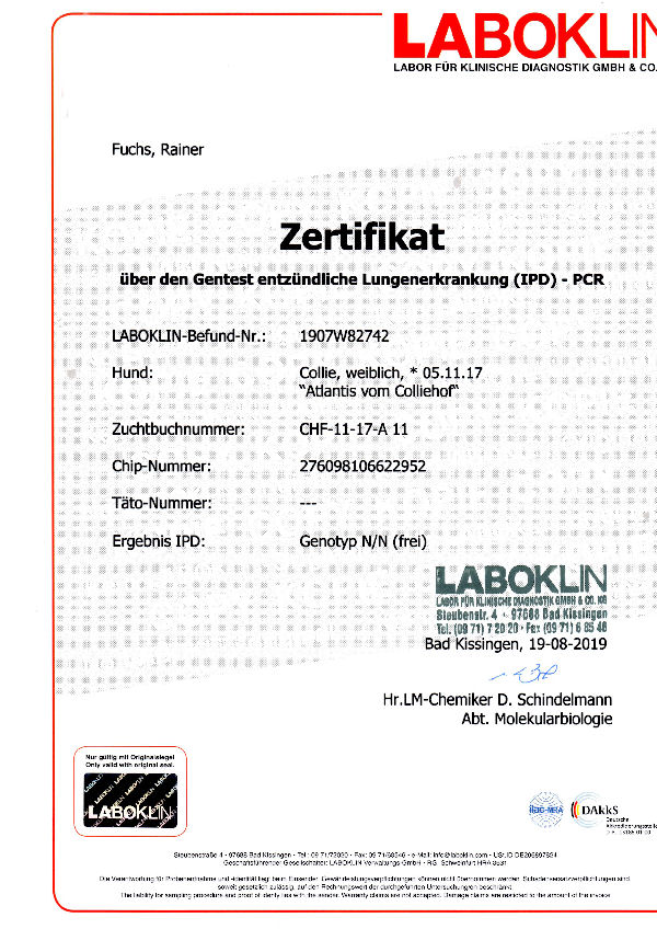 img003-Atlantis-IPD (2) img003-Atlantis-IPD (2)