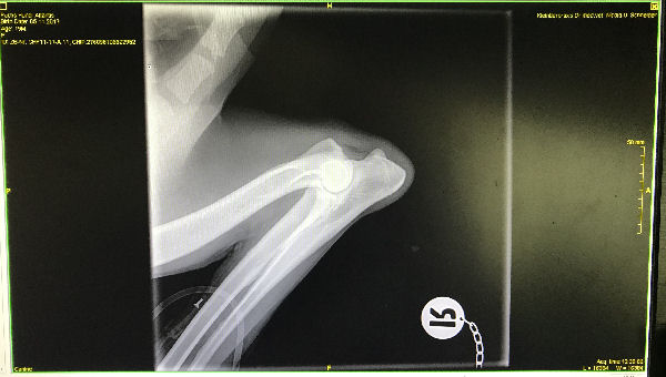 img_5247 (1)-Atlantis-ed-rechts