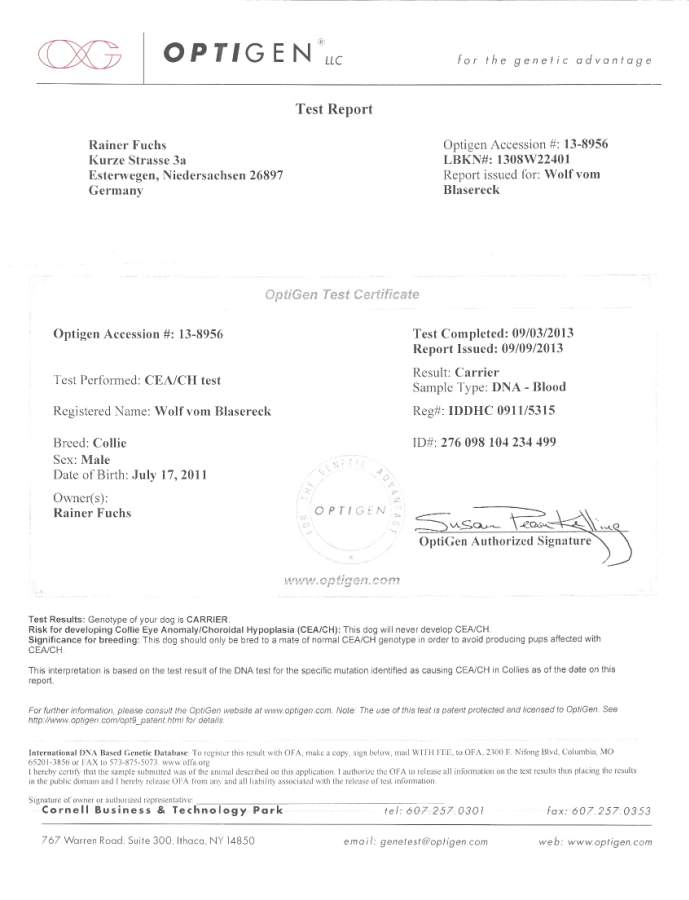 optigen-CEA optigen-CEA