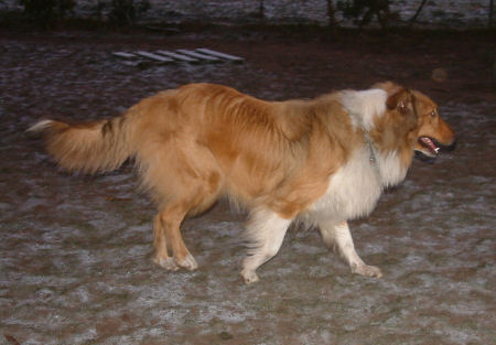 unimaris-b unimaris-b